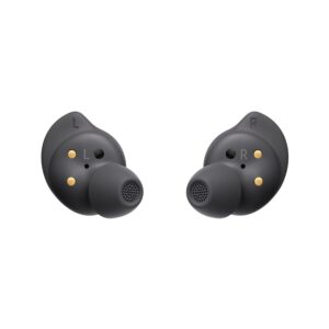 Galaxy True Wireless Buds FE Graphite